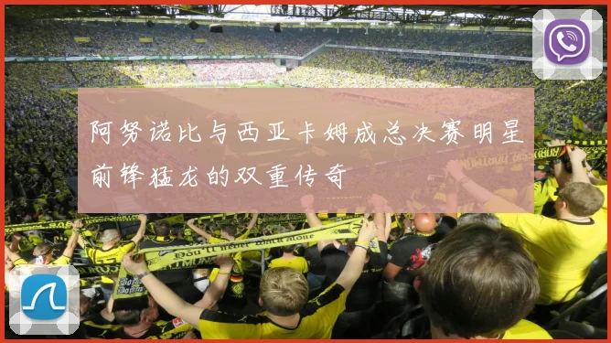 阿努诺比与西亚卡姆成总决赛明星前锋猛龙的双重传奇