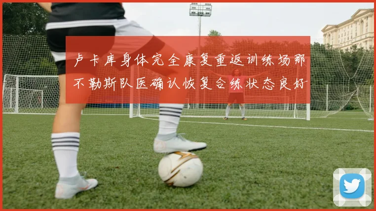 卢卡库身体完全康复重返训练场那不勒斯队医确认恢复合练状态良好