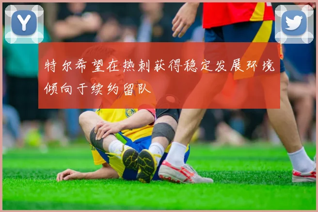 特尔希望在热刺获得稳定发展环境倾向于续约留队
